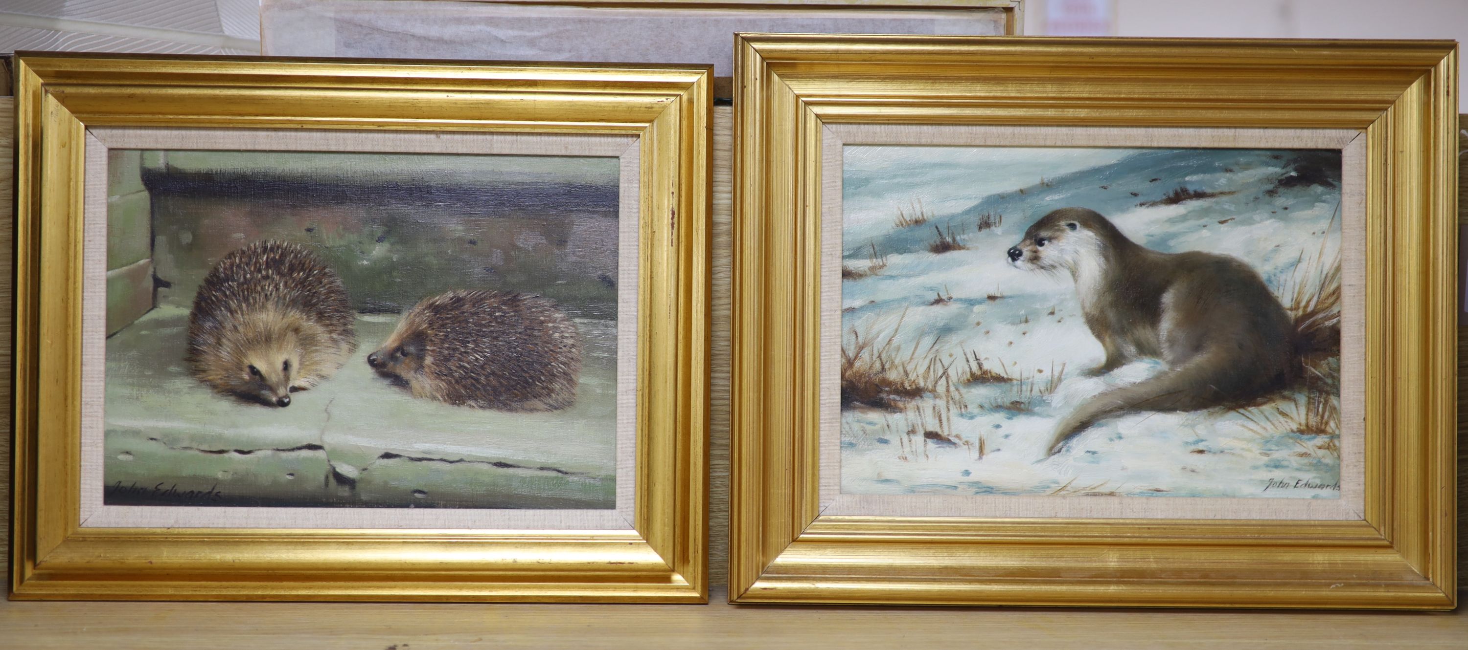 John Edwards (20th century), two oils on board, 'Otter in winter' and 'Hedgehogs', signed, 24 x 34cm and 24 x 34cm, frames differ